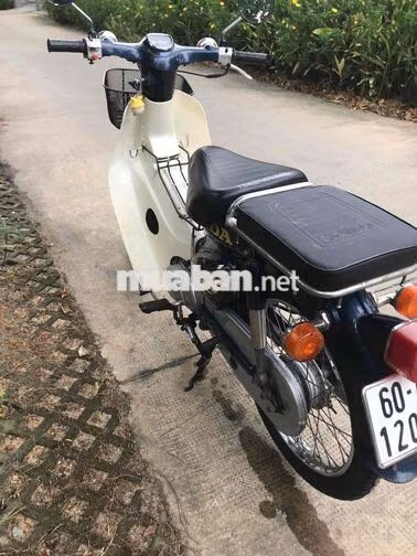 Honda Cub 81 50cc Xanh Trắng Chính Chủ Ký Giấy