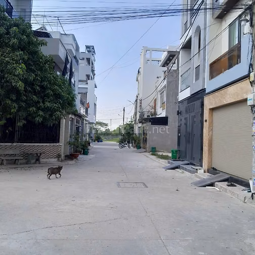 Chủ kẹt tiền cần bán gấp lô đất đẹp, đường 8m ngay công viên lớn 150ha