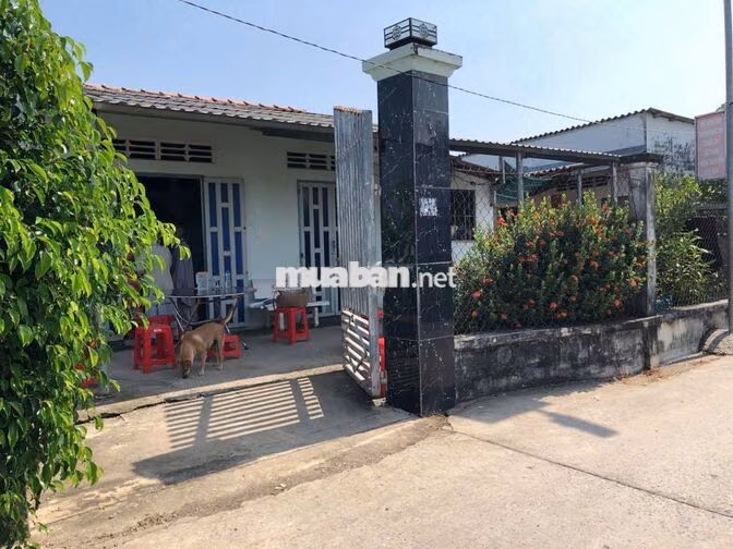 BÁN ĐẤT LONG AN 2000m2, Kèm dãy nhà trọ.