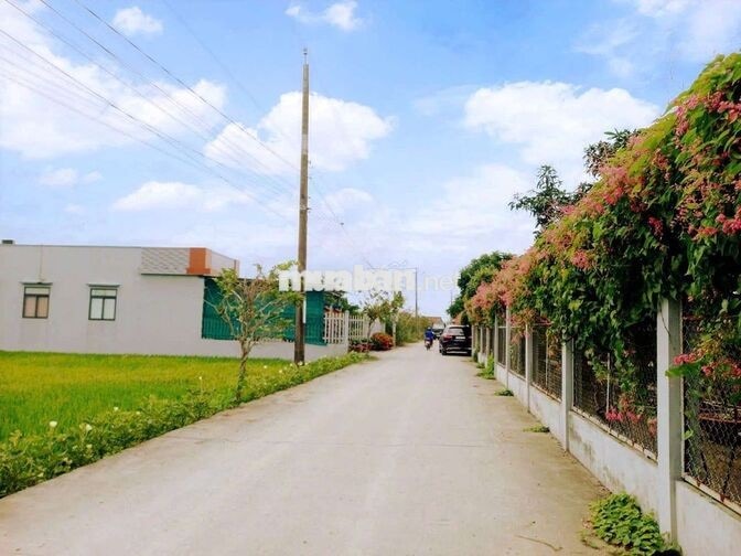 Hàng thơm, chỉ 290tr sở hữu 129.5m² đất thổ đường ô tô