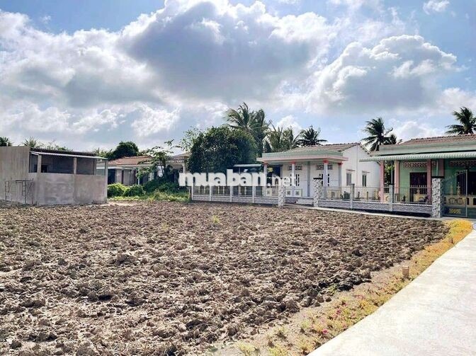 Hàng thơm, chỉ 290tr sở hữu 129.5m² đất thổ đường ô tô