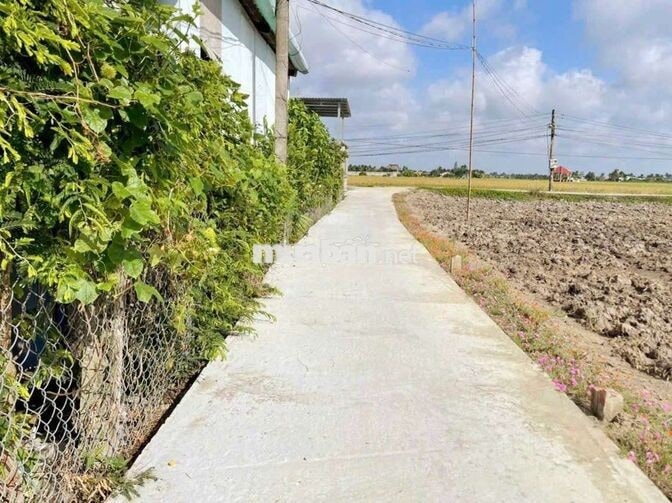 Hàng thơm, chỉ 290tr sở hữu 129.5m² đất thổ đường ô tô