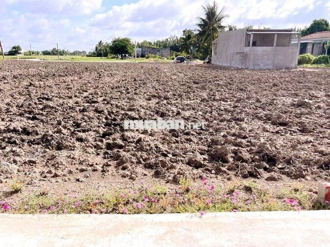 Hàng thơm, chỉ 290tr sở hữu 129.5m² đất thổ đường ô tô