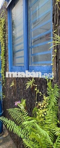 Mặt bằng nhỏ góc 2 mặt đường 4m khu đông dân Lê Lai P.Hạnh Thông TPHCM