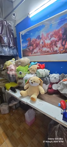 Em cần sang lại đứa con tinh thần của mình 