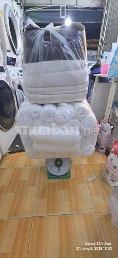 Em cần sang lại đứa con tinh thần của mình 