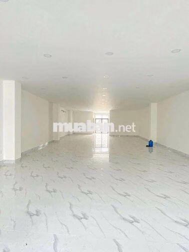 💵CHO THUÊ BUILDING BẠCH ĐẰNG TÂN BÌNH, GẦN SÂN BAY TÂN SƠN NHẤT 💵