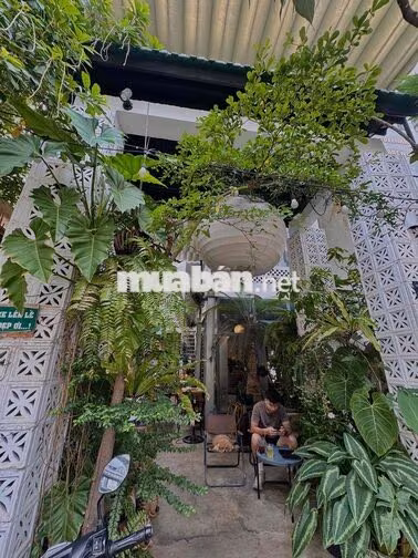 Cho Thuê Mặt Bằng Phan Xích Long Giá Sinh Viên