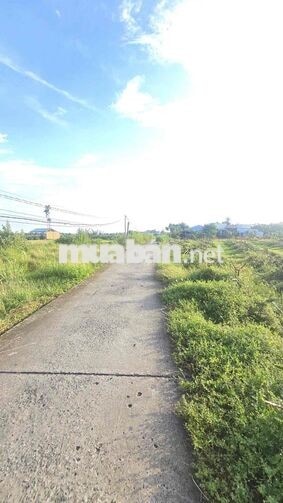 Bán đất 2tỷ500 huyện châu thành Tây Ninh mới