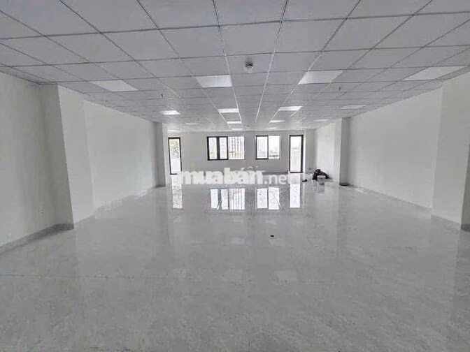 Cho thuê mặt tiền Trường Sa: DT: 12x12m-6L nhà mới: Giá: 95tr