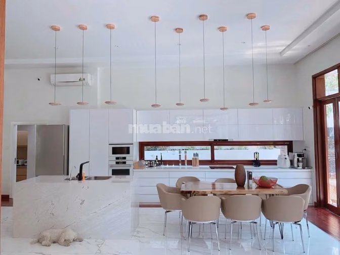 ✨ SIÊU PHẨM VILLA GÓC 2 MẶT TIỀN 25 ĐẶNG HỮU PHỔ - NGUYỄN BÁ LÂN, P.TH