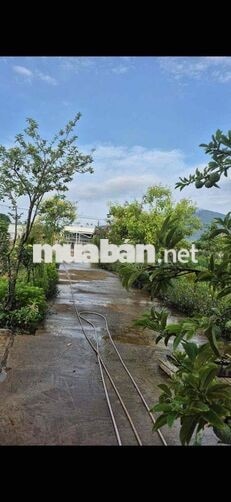 Cần bán 6.281m² (6 sào 2) đất Xuân Lộc. Gần Tỉnh Lộ 766