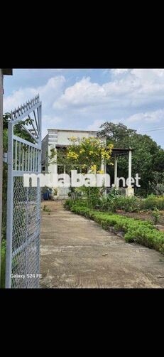 Cần bán 6.281m² (6 sào 2) đất Xuân Lộc. Gần Tỉnh Lộ 766