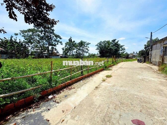 CHÍNH CHỦ CẮT LỖ LÔ ĐẤT SAU LƯNG CHỢ LA THÁP - GIÁ CHỈ 5XX TRIỆU/LÔ