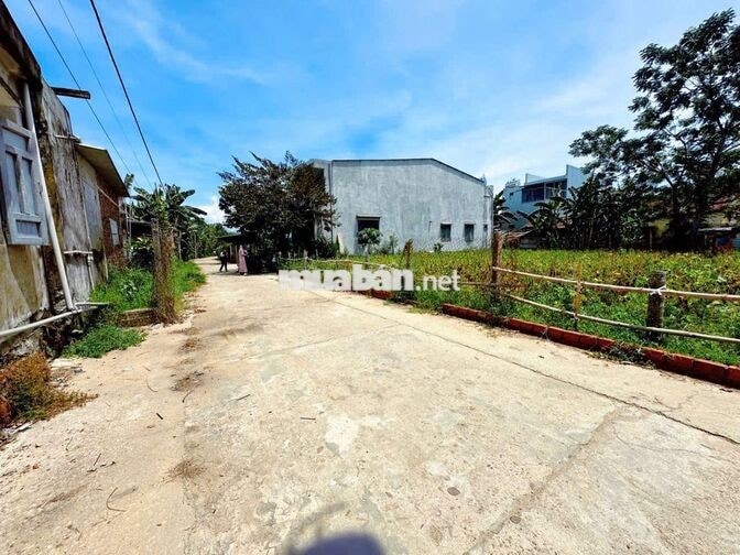 CHÍNH CHỦ CẮT LỖ LÔ ĐẤT SAU LƯNG CHỢ LA THÁP - GIÁ CHỈ 5XX TRIỆU/LÔ