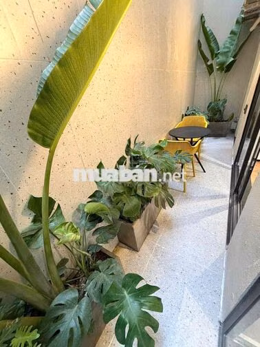 Brand New 1-2BR Apartment Near Beach | Новая Аренда 1-2PN | Cho Thuê