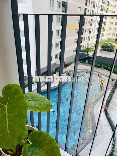 Cho thuê căn hộ Legacy Central full nội thất giá 5,5tr