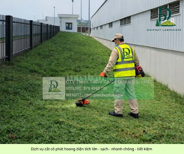Cắt Cỏ – Cưa Cây KCN Sông Mây Đồng Nai Uy Tín, Chuyên Nghiệp