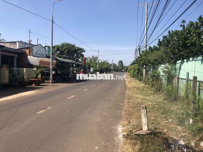 CC CẦN BÁN LÔ ĐẤT TRỒNG CLN ĐẸP – GIÁ ĐẦU TƯ TẠI LONG KHÁNH, ĐỒNG NAI