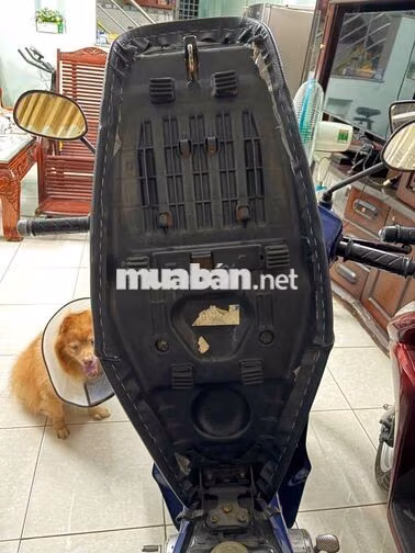 Honda Future Xanh đời đầu 1 chủ