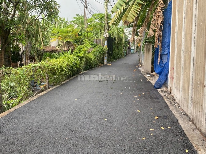 Bán đất HXH ngay chợ Hiệp Bình Chánh. Chỉ từ 4,4 tỷ/lô