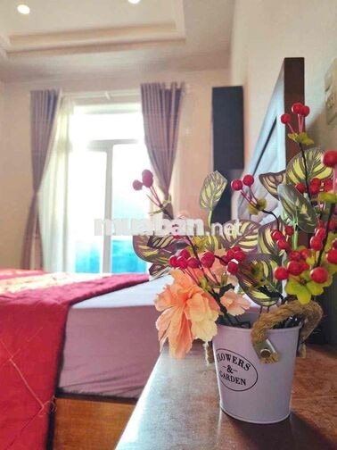 cho thuê biệt thự bắc nha trang
