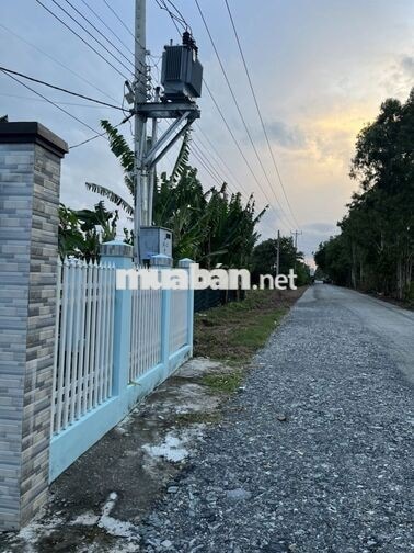 Đất nhà chính chủ – tặng luôn vườn mai hơn 100 cây trồng lâu năm