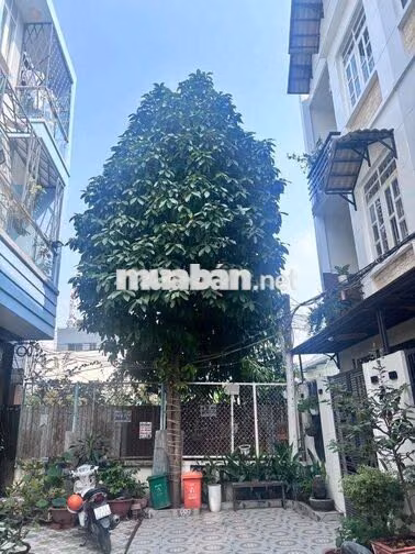 Nhà đường Dương cát lợi vị trí xe hơi thông thoáng giáp Q7.