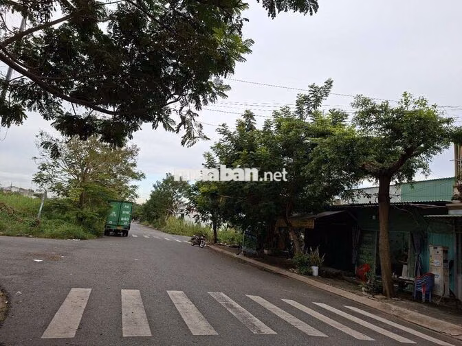 Bán đất thổ cư đường 17m khu dân cư Nam Sài Gòn Long Hậu