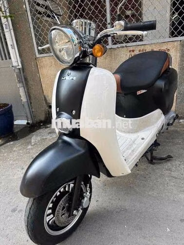 Crea 50cc 2024. BSTP 1 đời chủ công chứng liền