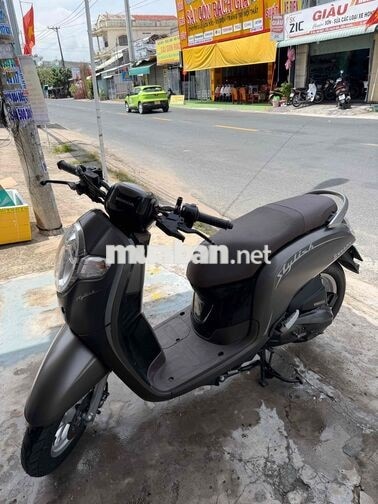 Honda Scoopy 2020 Nâu
