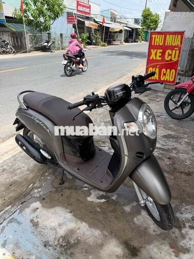 Honda Scoopy 2020 Nâu