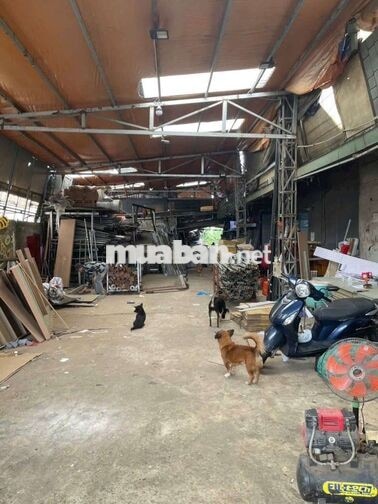 xưởng kV 2000m² giá 50 triệu Tân Hiệp Hóc Môn