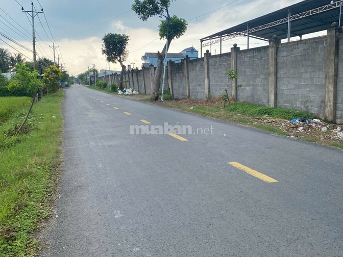 CẦN BÁN MẢNH ĐẤT TRỒNG CÂY LÂU NĂM XÃ BÌNH PHÚ – GÒ CÔNG TÂY, TIỀN GIA