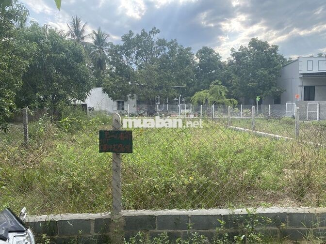 Cần bán gấp đất 200,9m² thôn Cửu Lợi 2 Xã Cam Lâm Tỉnh Khánh Hoà