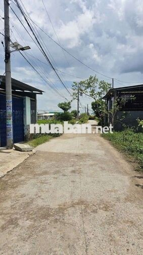 Cần bán gấp đất thổ cư. 4.5x34m đường be tông 5m. xã Mỹ Hạnh Bắc