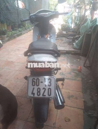 Honda Wave Alpha 110 2009 Trắng