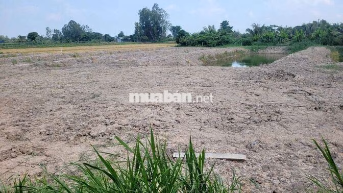 Bán nhanh nền vườn 1100m2 ở Xã Mỹ Khánh, Long Xuyên giá 5xxtr