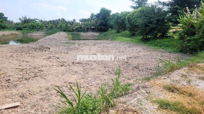 Bán nhanh nền vườn 1100m2 ở Xã Mỹ Khánh, Long Xuyên giá 5xxtr