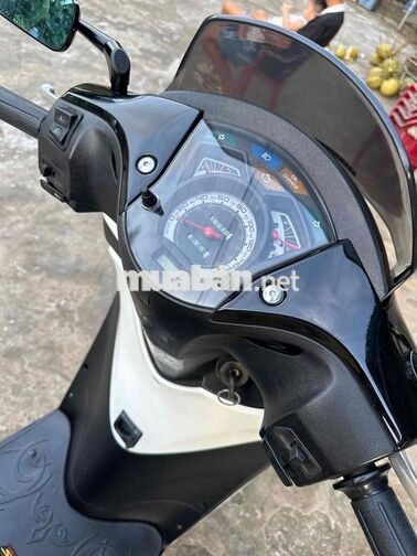 Honda SH 125 Trắng đen