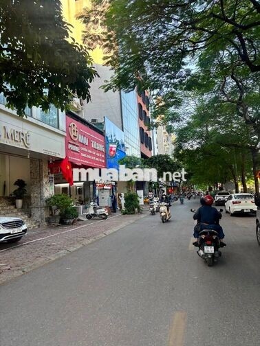Nhà  mặt phố Nguyễn Khang , Dt 40m2 x 3 tầng kinh doanh mọi loại hình