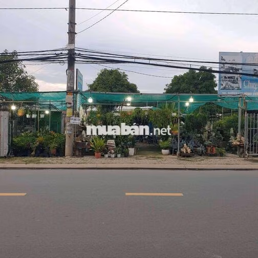 Nhà Thuê 4*12 Gác Lửng Đường Võ Văn Vân vĩnh lộc B bình chánh