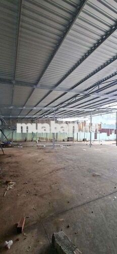xưởng 900m giá 35 triệu bà điểm container 40f vào xưởng