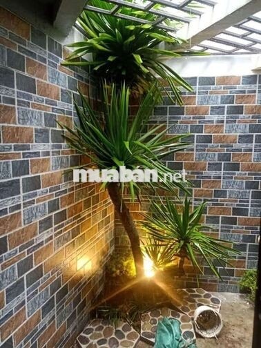 Cho thuê nhà kho mặt tiền đường Nguyễn Thị Cận gần bến xe Đà Nẵng