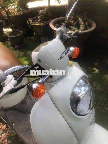 Honda Scoopy 50cc Trắng Nhật Bản