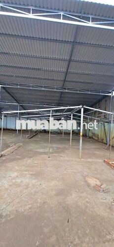 xưởng 900m giá 35 triệu bà điểm container 40f vào xưởng