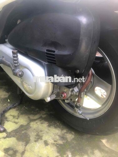 Honda Scoopy 50cc Trắng Nhật Bản