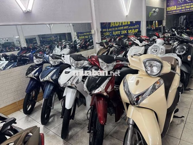 Honda Vario Đa dạng