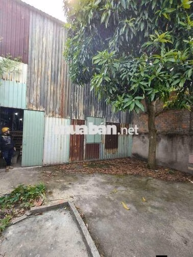 KHO + Đất Trống 5*35 ( 175 m) Đường Nguyễn Thị Trọn Vĩnh Lộc A Bìnhc