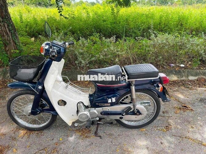 Honda Super Cub 50cc Xanh trắng